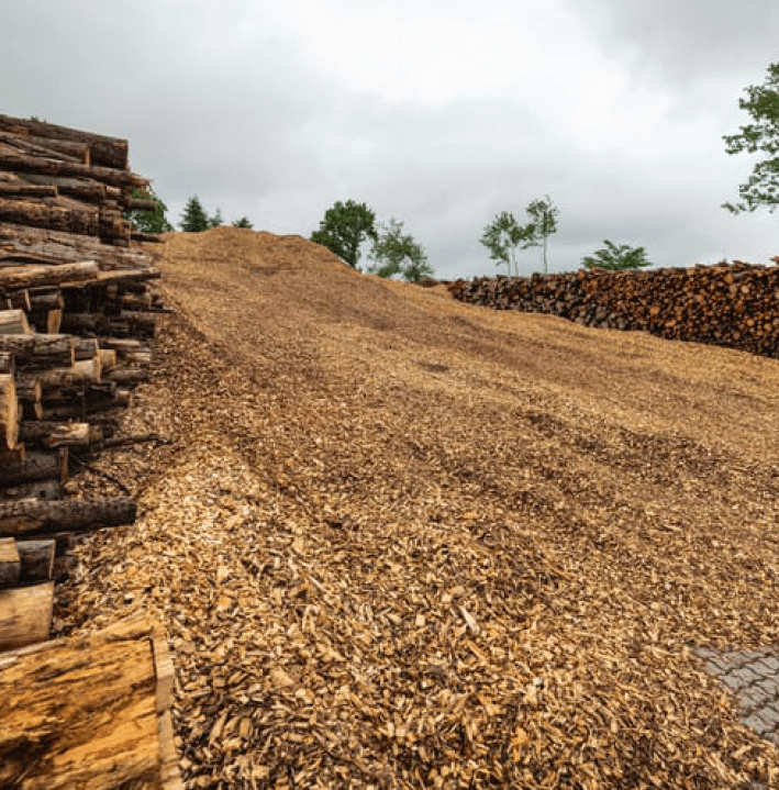 KU indsamler data vedrørende flisproduktion